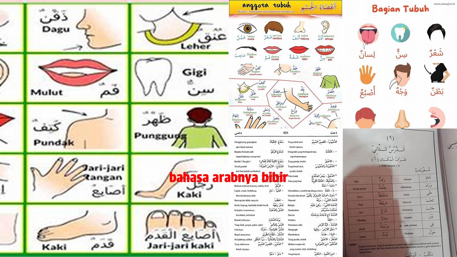Referensi Bahasa Arabnya Bibir: Panduan Lengkap