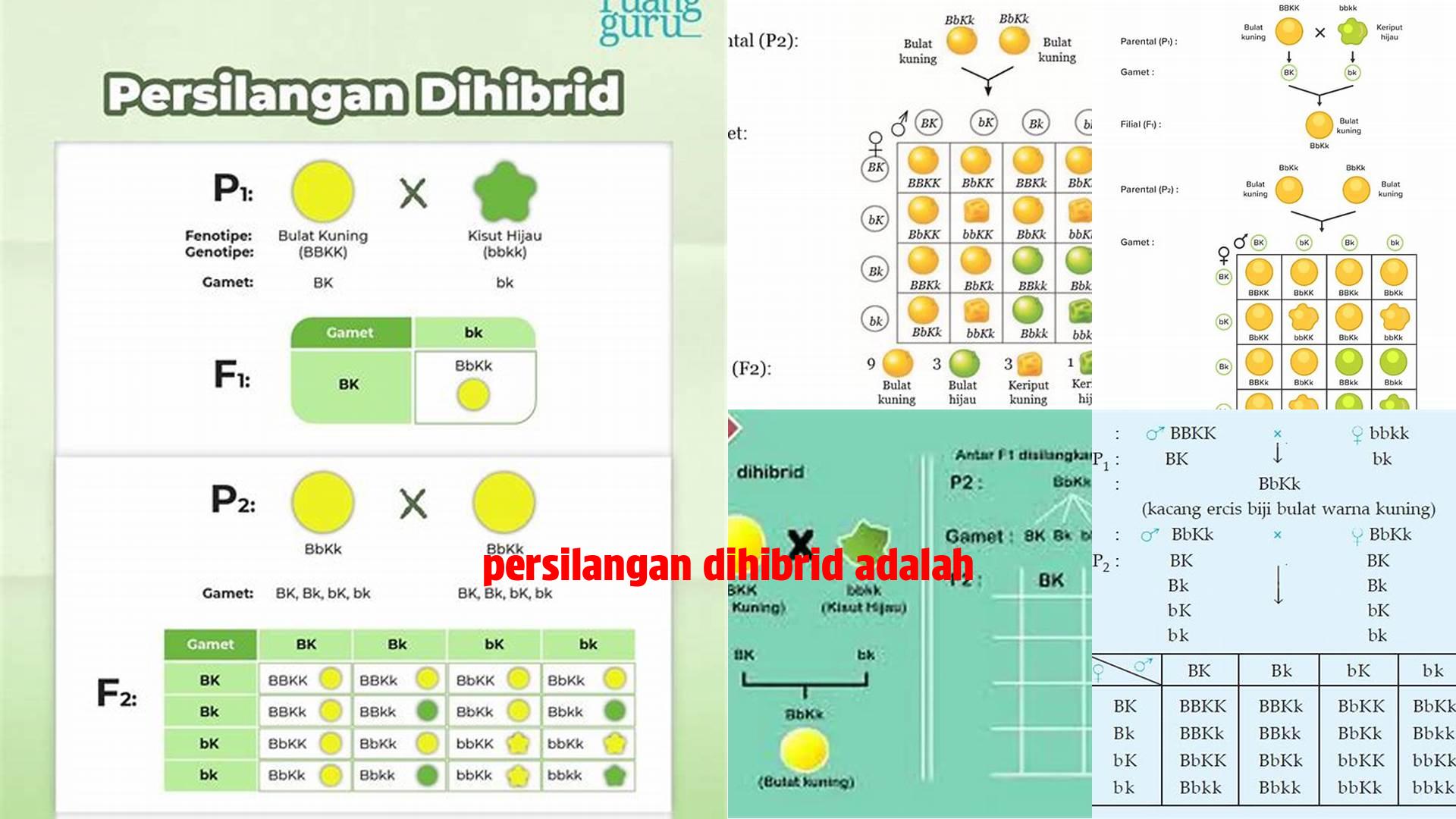 Tips Sukses Persilangan Dihibrid: Panduan Referensi
