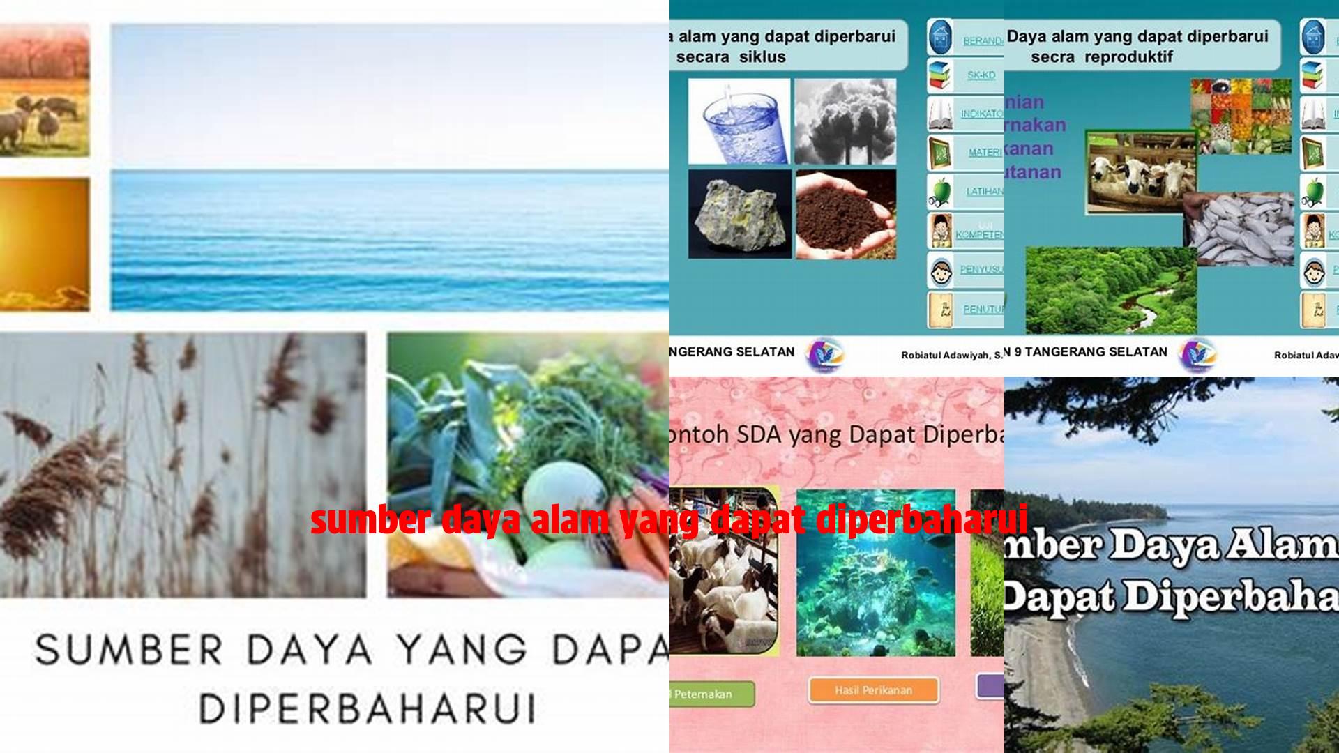 Panduan Lengkap Sumber Daya Alam yang Dapat Diperbaharui: Referensi untuk Pembangunan Berkelanjutan