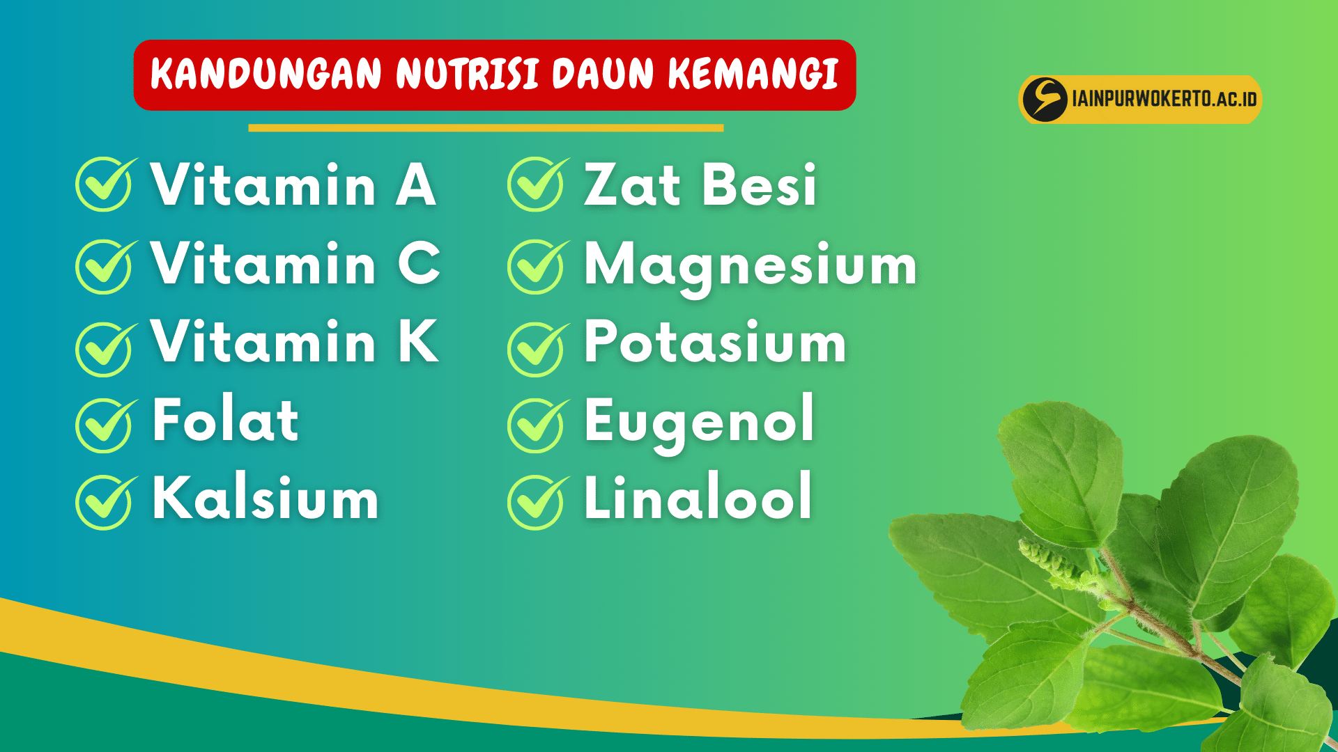 Kenali 7 Manfaat Daun Kemangi untuk Tubuh