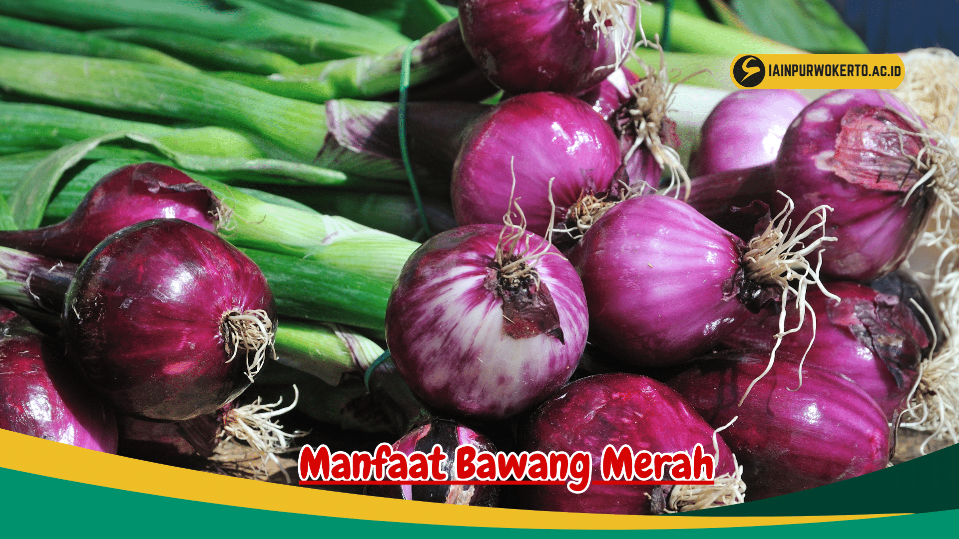 8 Manfaat Bawang Merah untuk Anak Bayi 8 Manfaat Bawang Merah untuk Anak Bayi