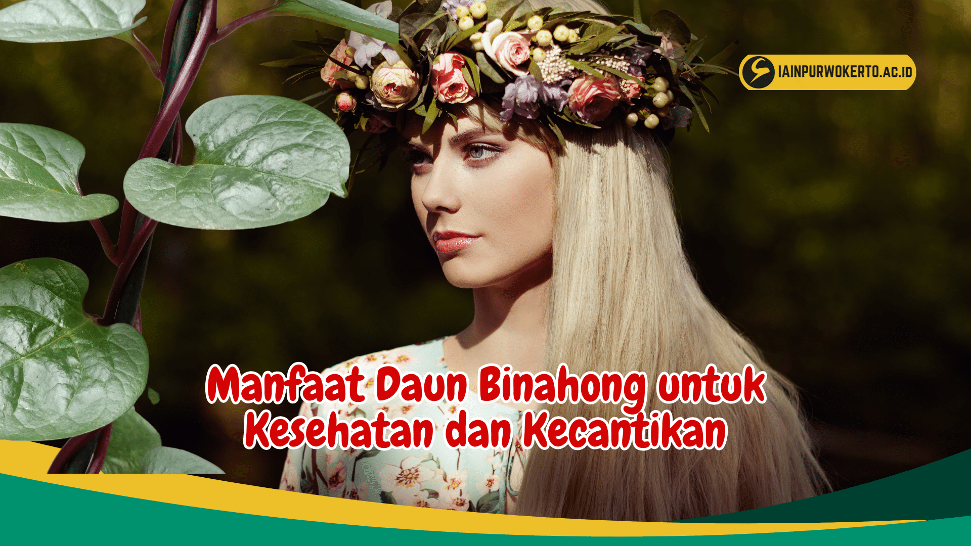 Manfaat Daun Binahong untuk Kesehatan dan Kecantikan Manfaat Daun Binahong untuk Kesehatan dan Kecantikan