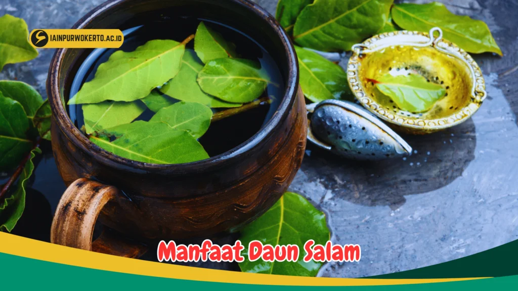 Manfaat Daun Salam Manfaat Daun Salam