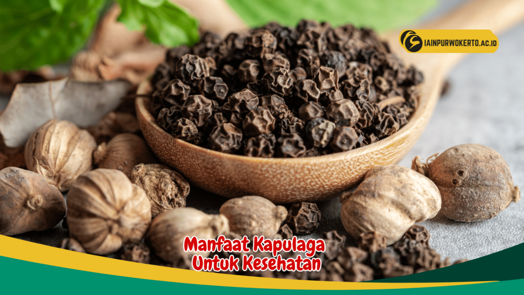 Manfaat Kapulaga Untuk Kesehatan Manfaat Kapulaga Untuk Kesehatan