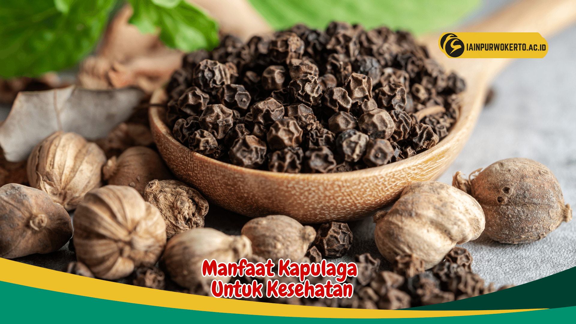 Inilah 4 Manfaat kapulaga, salah satunya untuk Mengurangi nyeri perut Inilah 4 Manfaat kapulaga, salah satunya untuk Mengurangi nyeri perut