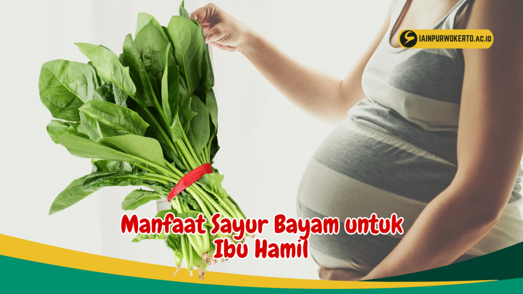 Manfaat Sayur Bayam untuk Ibu Hamil Manfaat Sayur Bayam untuk Ibu Hamil