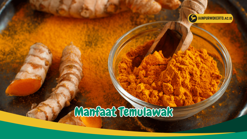 Manfaat Temulawak Manfaat Temulawak