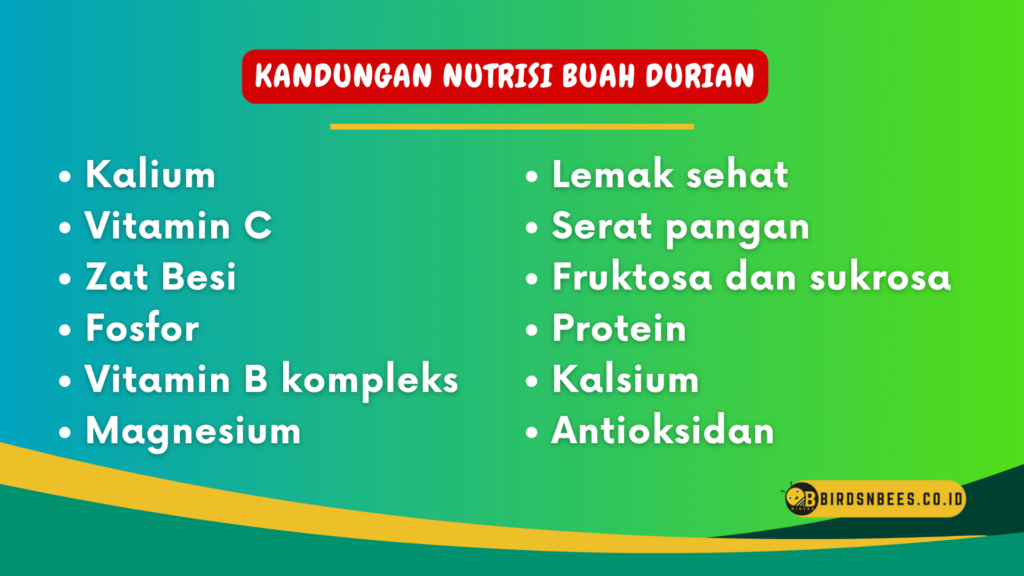 Kandungan Nutrisi Buah Durian