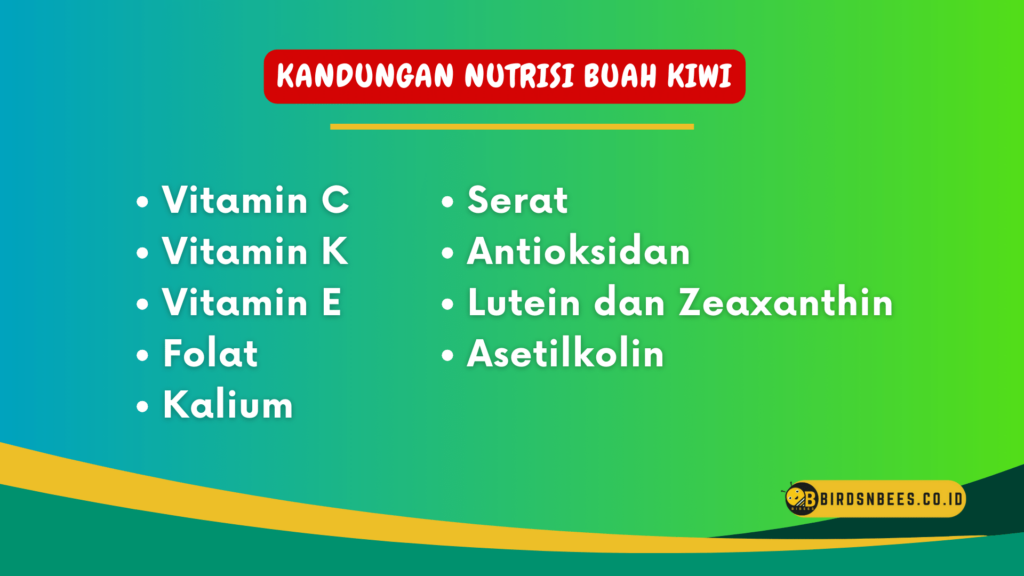 Kandungan Nutrisi Buah Kiwi Kandungan Nutrisi Buah Kiwi
