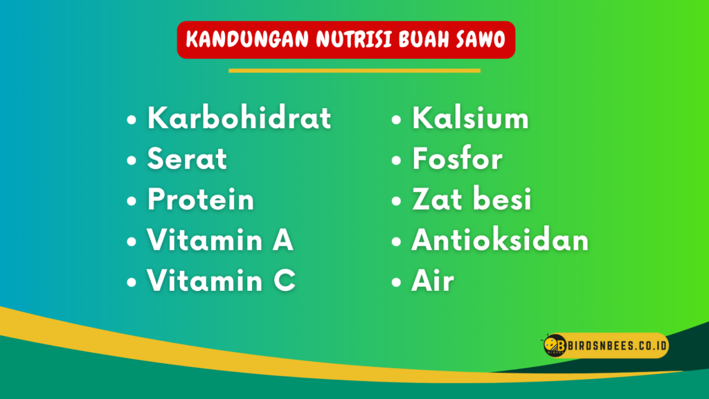 Kandungan Nutrisi Buah Sawo Kandungan Nutrisi Buah Sawo