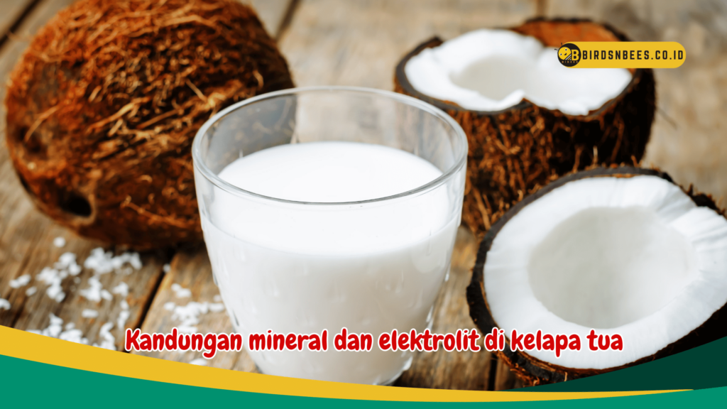 Kandungan mineral dan elektrolit di kelapa tua