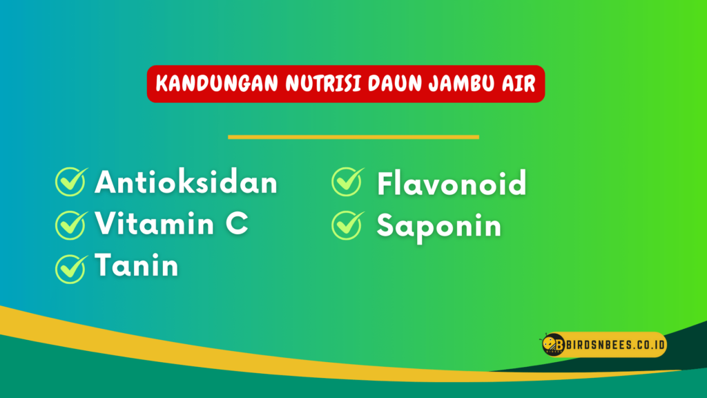 Kandungan nutrisi daun jambu air Kandungan nutrisi daun jambu air