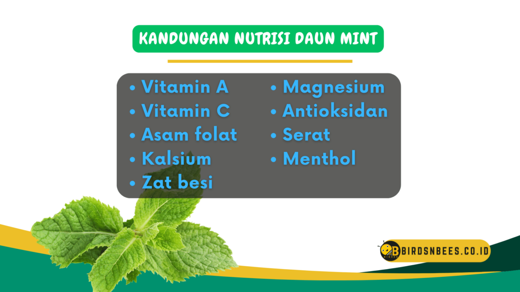 Kandungan nutrisi daun mint Kandungan nutrisi daun mint