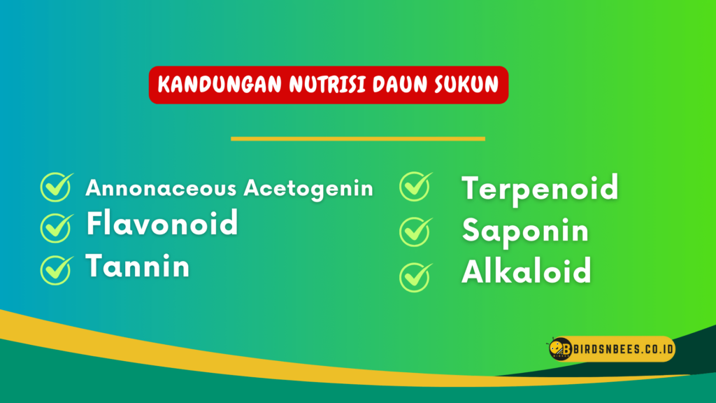Kandungan nutrisi daun sukun Kandungan nutrisi daun sukun
