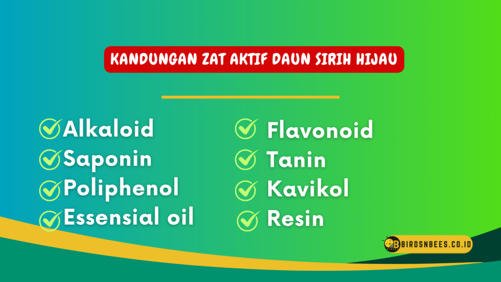 Kandungan zat aktif daun sirih hijau