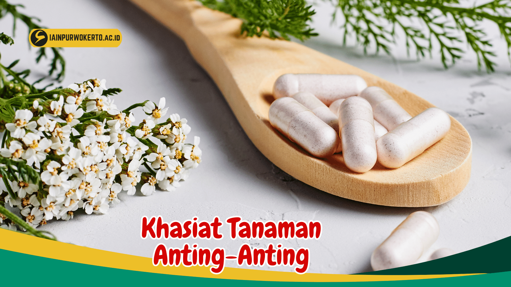 Mengenal 5 Jenis Tanaman AntingAnting dan Khasiatnya Birds n Bees