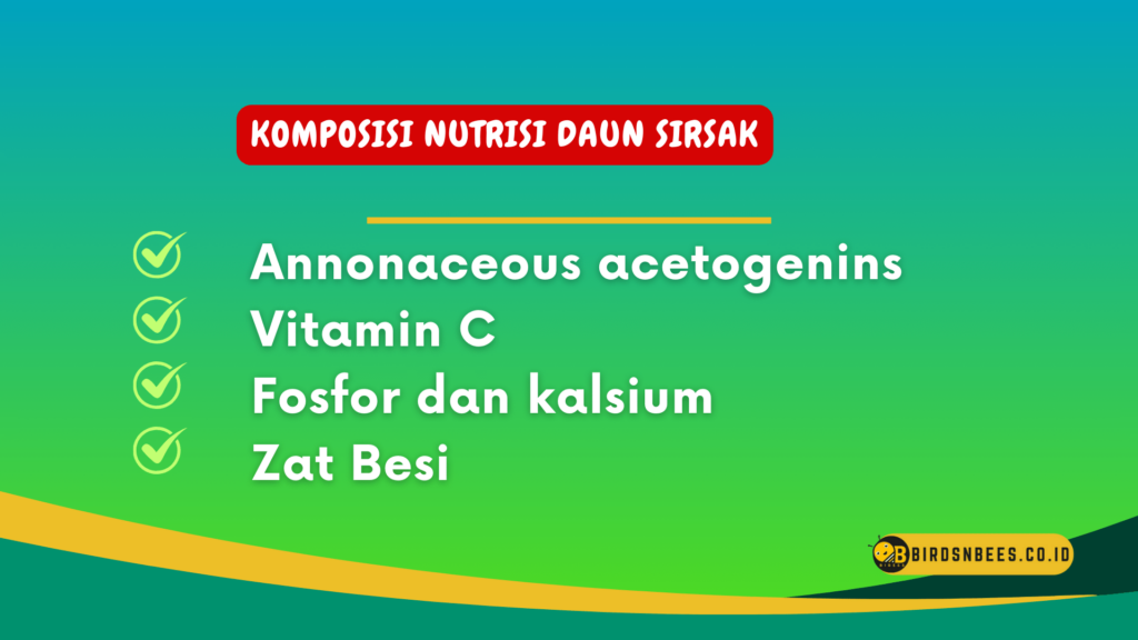 Komposisi nutrisi daun sirsak Komposisi nutrisi daun sirsak