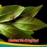 Manfaat Air rebusan daun Salam