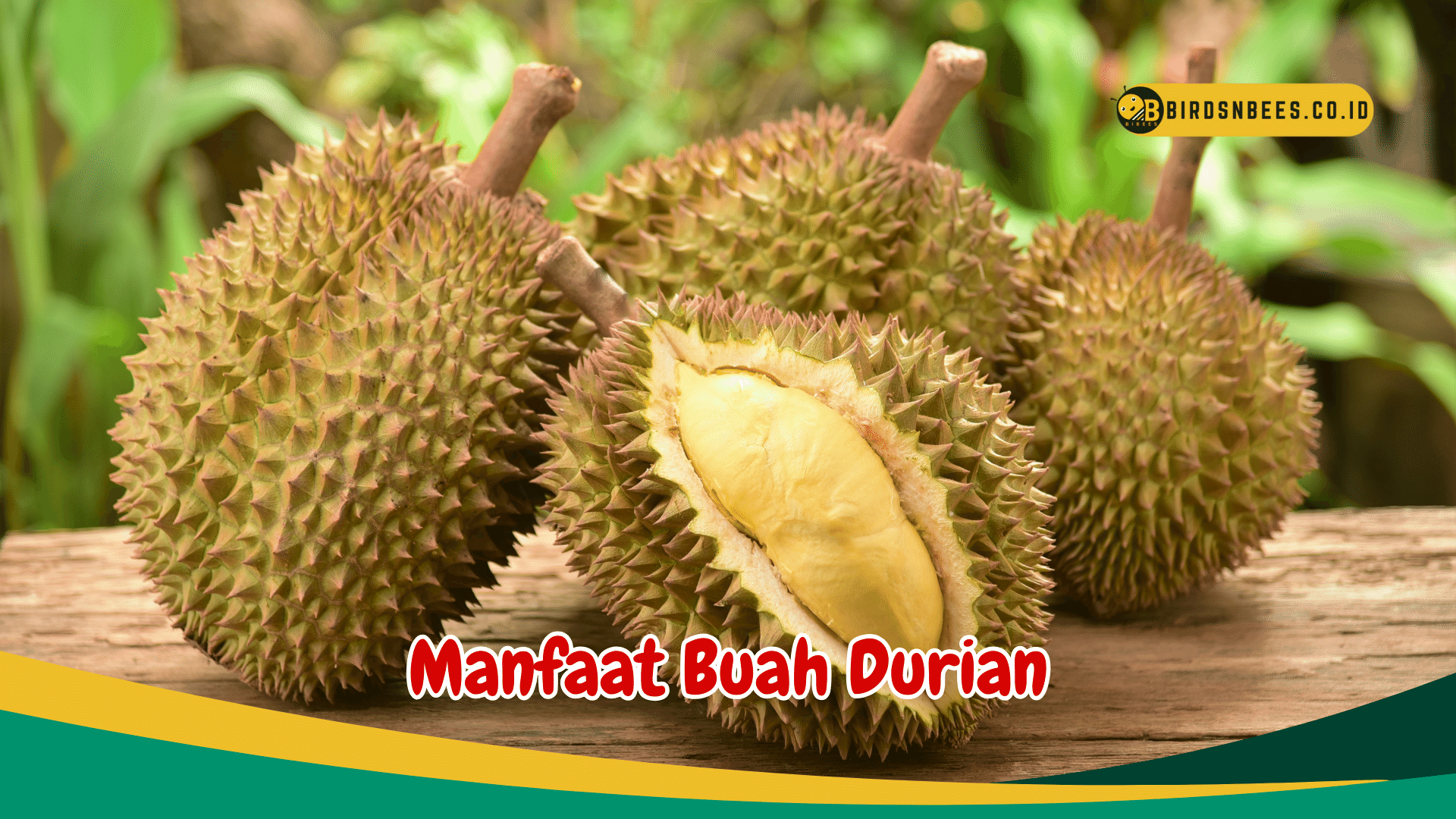Jarang Diketahui, Manfaat Buah Durian untuk kesehatan, Salah satunya Mencegah anemia