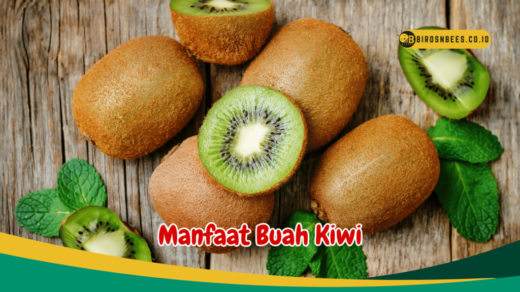 Manfaat Buah Kiwi Manfaat Buah Kiwi