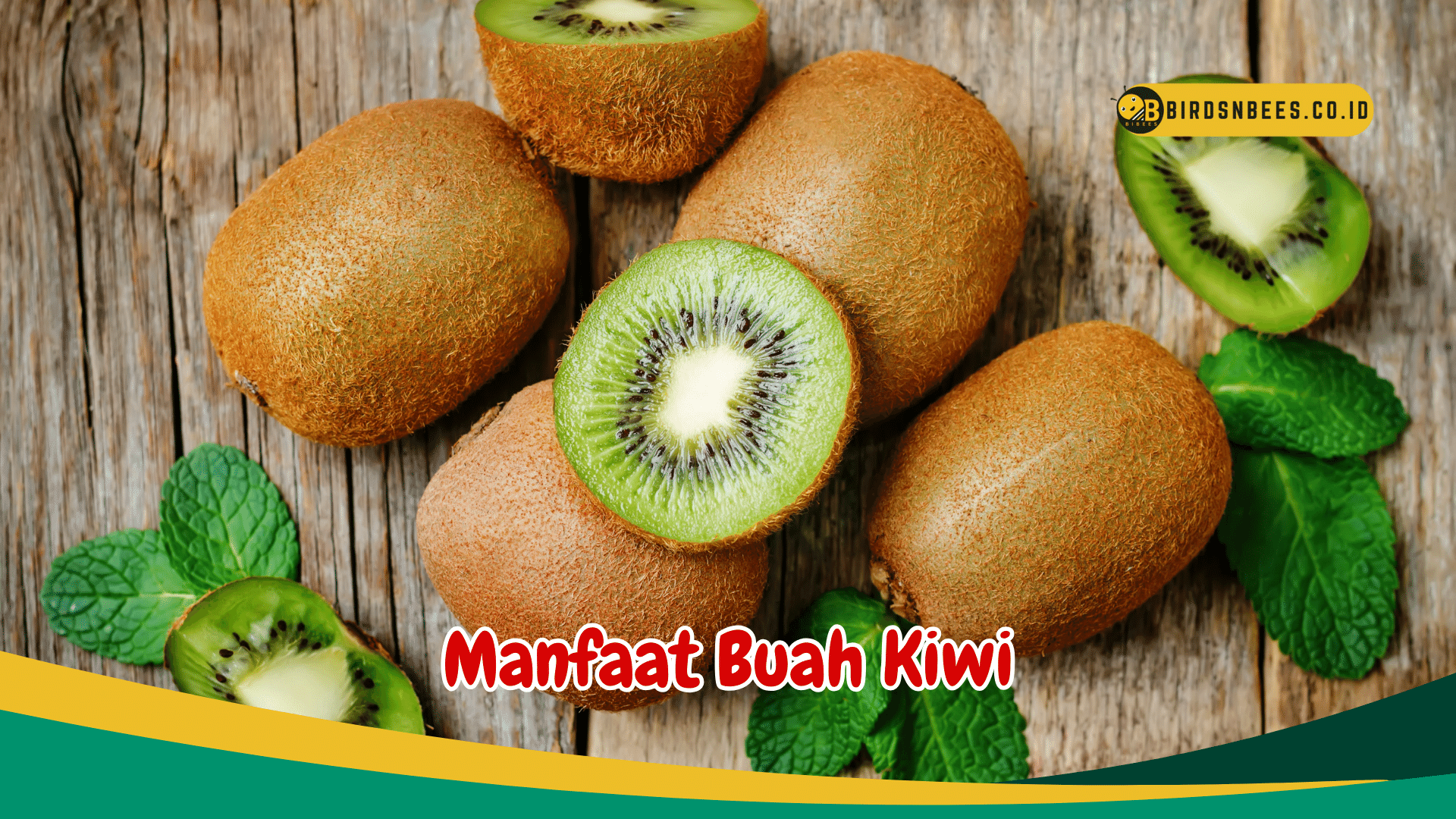 Jarang Diketahui, Manfaat Buah Kiwi untuk kesehatan, Salah satunya Membantu pencernaan Jarang Diketahui, Manfaat Buah Kiwi untuk kesehatan, Salah satunya Membantu pencernaan