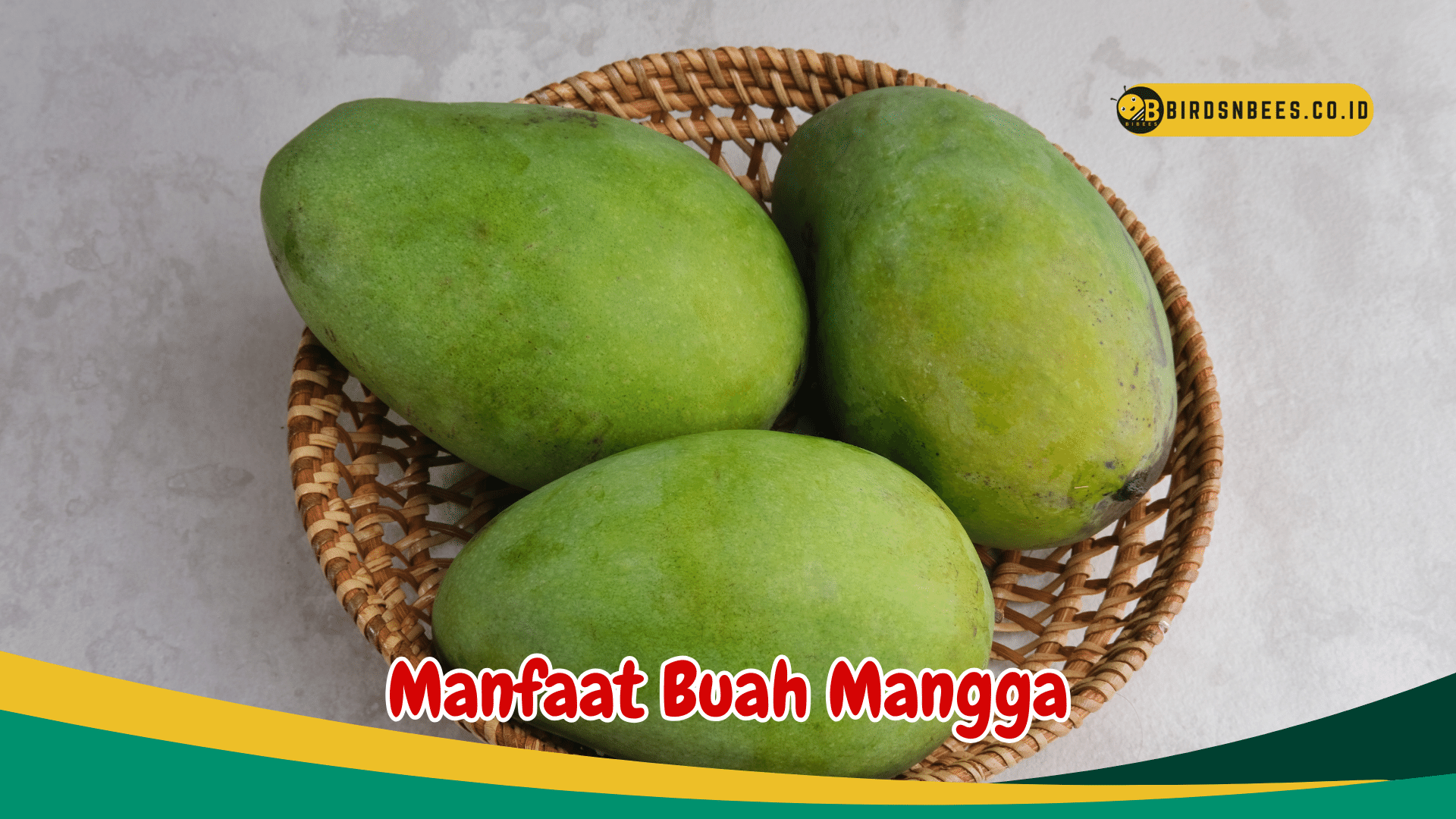 Ketahui 7 Manfaat Buah Mangga untuk Kesehatan, salah satunya memperlancar Pencernaan Ketahui 7 Manfaat Buah Mangga untuk Kesehatan, salah satunya memperlancar Pencernaan
