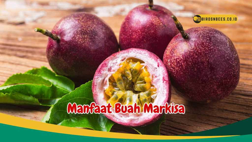 Manfaat Buah Markisa Manfaat Buah Markisa
