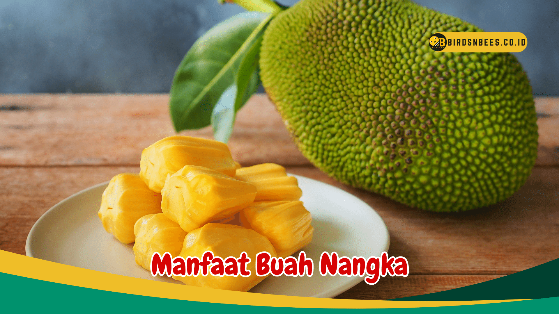 6 Manfaat Buah Nangka untuk tubuh kita, salah satunya Meningkatkan sistem kekebalan tubuh, begini faktanya 6 Manfaat Buah Nangka untuk tubuh kita, salah satunya Meningkatkan sistem kekebalan tubuh, begini faktanya