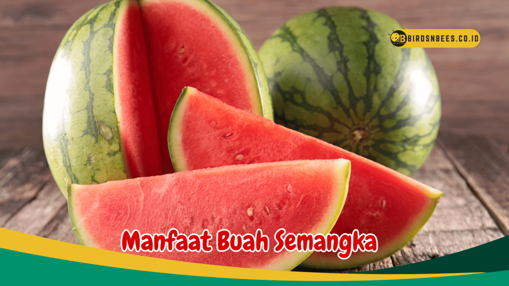 Manfaat Buah Semangka Manfaat Buah Semangka