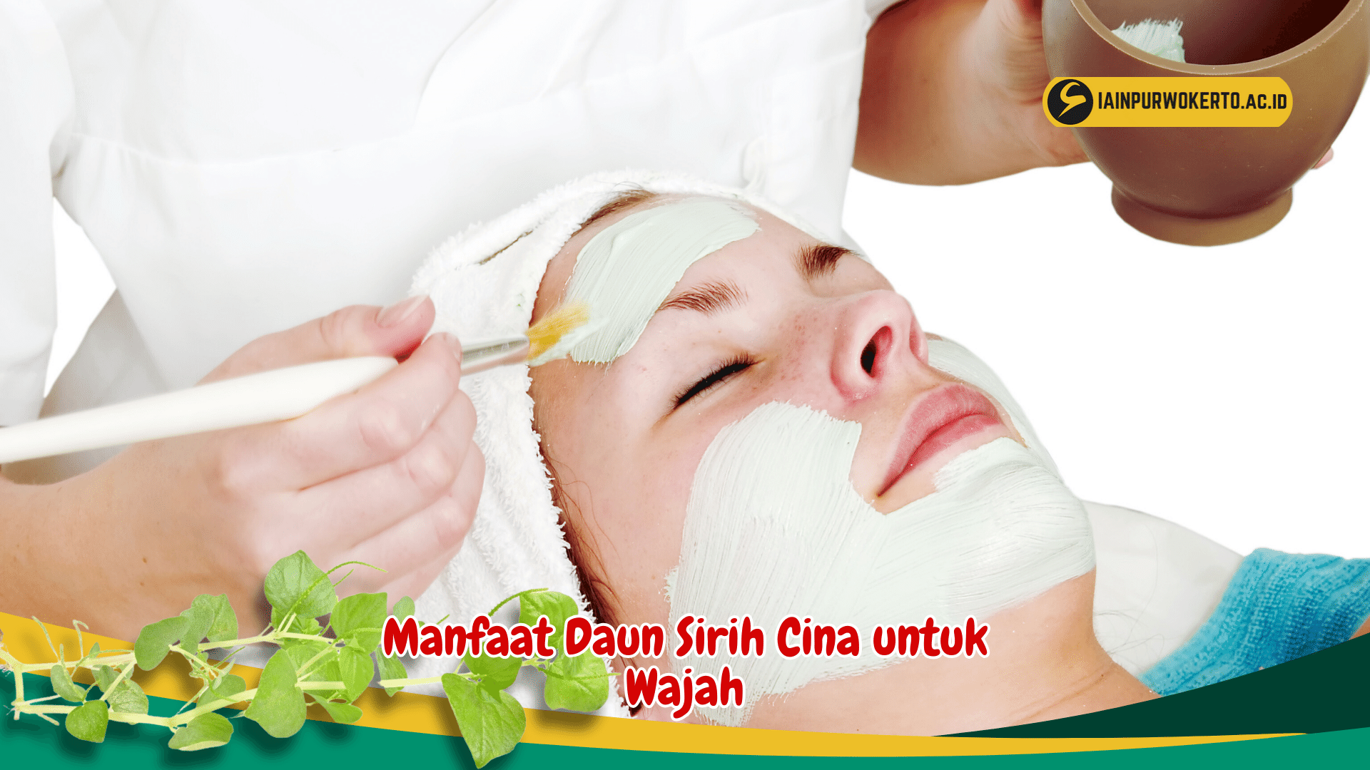 Ketahui 5 Manfaat daun Sirih Cina untuk Wajah agar Glowing secara Alami Ketahui 5 Manfaat daun Sirih Cina untuk Wajah agar Glowing secara Alami