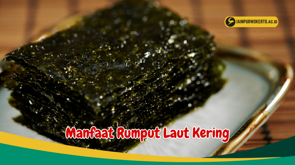 Manfaat Rumput Laut Kering Manfaat Rumput Laut Kering