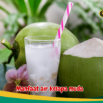 Manfaat air kelapa muda