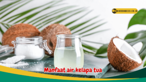 Manfaat air kelapa tua