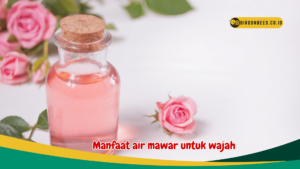 Manfaat air mawar