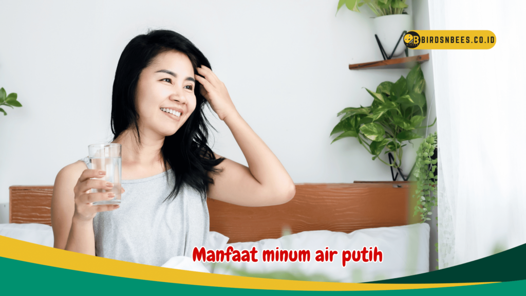 Manfaat minum air putih Manfaat minum air putih