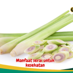 Manfaat serai untuk kesehatan