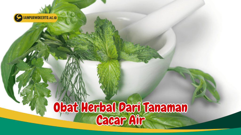 Obat Herbal Dari Tanaman Cacar Air