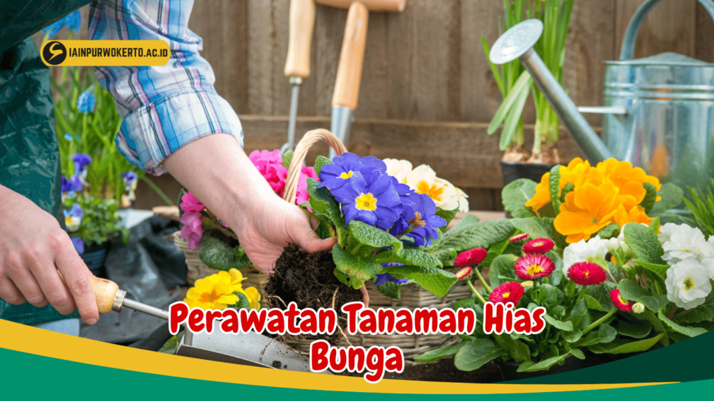 Perawatan Tanaman Hias Bunga Perawatan Tanaman Hias Bunga