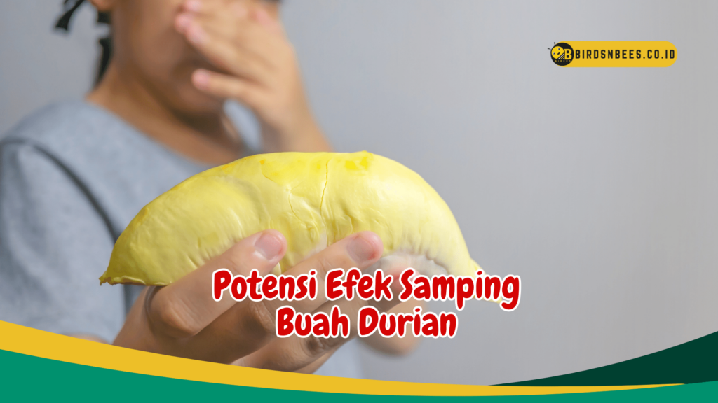 Potensi Efek Samping Buah Durian