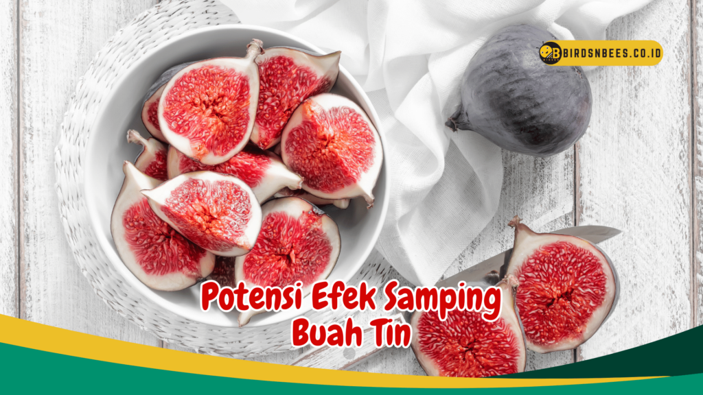 Potensi Efek Samping Buah Tin Potensi Efek Samping Buah Tin
