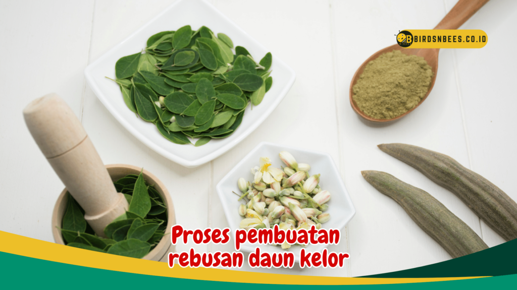 Proses pembuatan rebusan daun kelor Proses pembuatan rebusan daun kelor