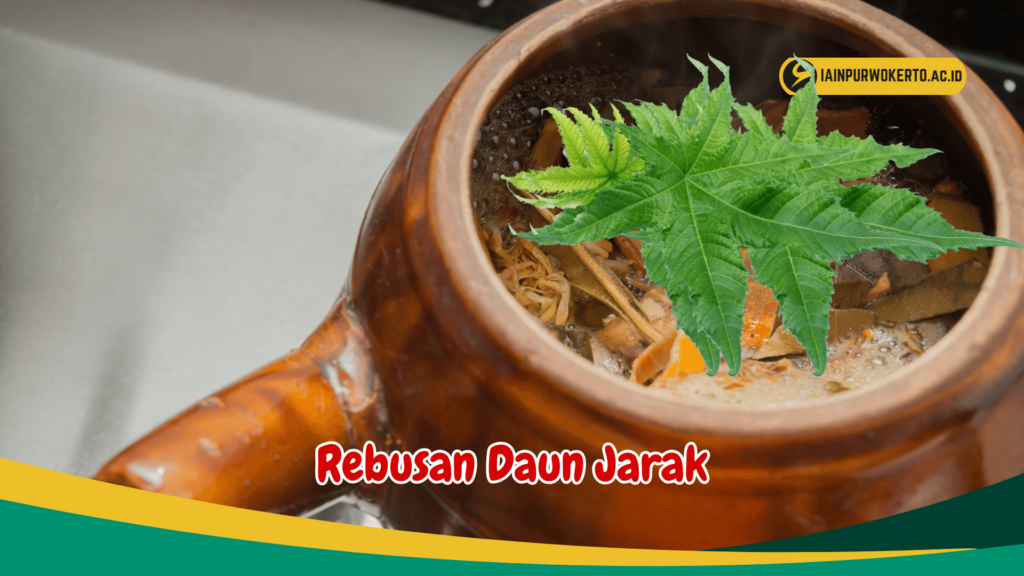 Rebusan Daun Jarak Rebusan Daun Jarak