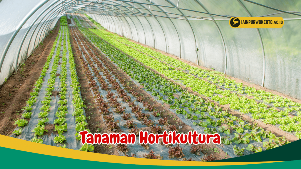 Tanaman Hortikultura