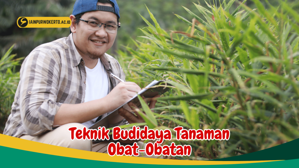 Teknik Budidaya Tanaman Obat-Obatan Teknik Budidaya Tanaman Obat-Obatan
