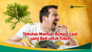 Temukan Manfaat Rumput Laut yang Baik untuk Tubuh