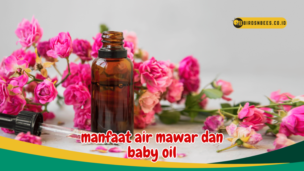manfaat air mawar dan baby oil