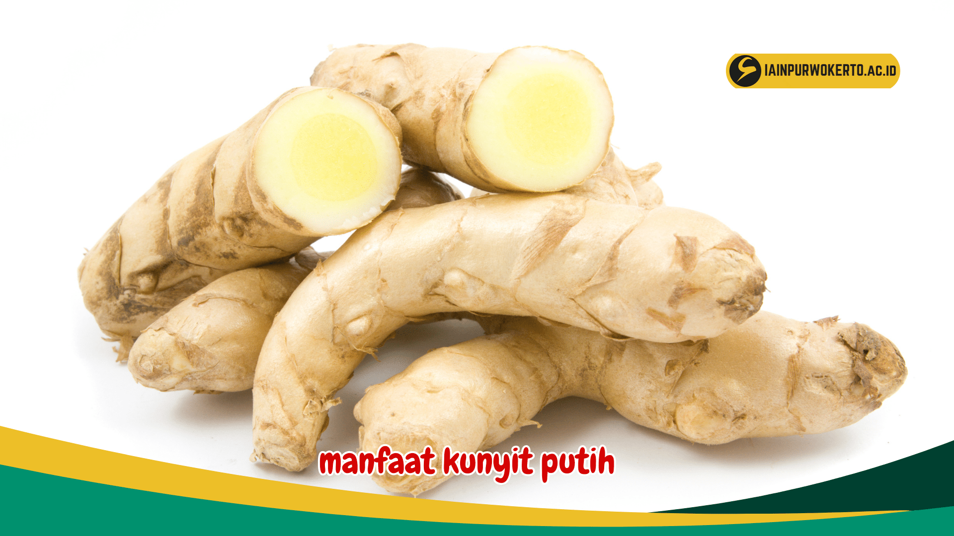 30 Manfaat Kunyit Putih untuk kesehatan tubuh 30 Manfaat Kunyit Putih untuk kesehatan tubuh