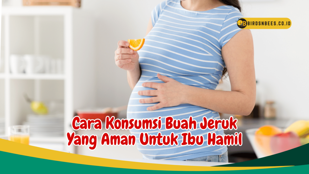 Cara Konsumsi Buah Jeruk Yang Aman Untuk Ibu Hamil Cara Konsumsi Buah Jeruk Yang Aman Untuk Ibu Hamil