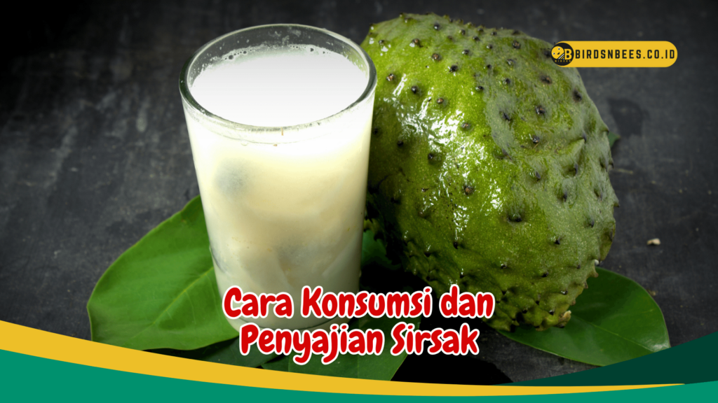 Cara Konsumsi dan Penyajian Sirsak Cara Konsumsi dan Penyajian Sirsak