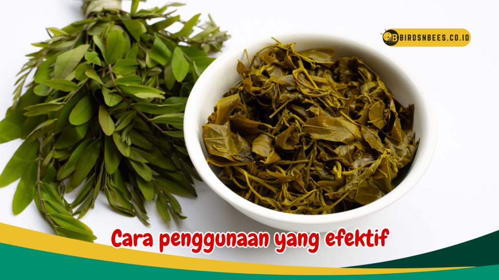Cara penggunaan yang efektif Cara penggunaan yang efektif